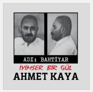 AHMET KAYA - ADI BAHTİYAR.İYİMSER BİR GÜL (RENKLİ PLAK) - Görsel 1