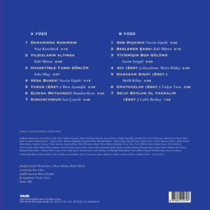 ÇEŞİTLİ SANATÇILAR - YEŞİLÇAM ŞARKILARI 3.YILDIZLARIN ALTINDA - Görsel 2