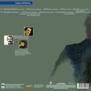 ZÜLFÜ LİVANELİ.MIKIS THEODORAKIS - GÜNEŞ TOPLA BENİM İÇİN - Görsel 2