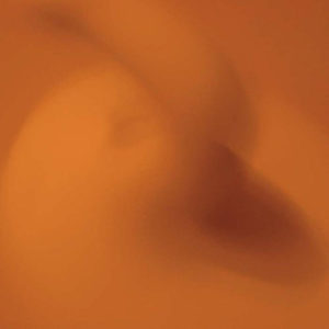 CAGES - VIVIPARY - Görsel 1