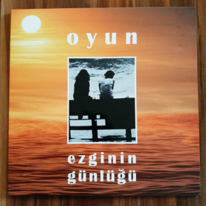 EZGİNİN GÜNLÜĞÜ - OYUN - Görsel 1