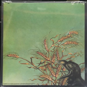 GRATEFUL DEAD - WAKE OF THE FLOOD - Görsel 2