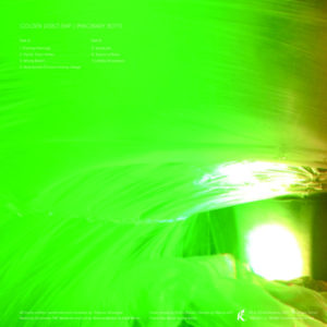 GOLDEN DISKO SHIP - IMAGINARY BOYS - Görsel 2