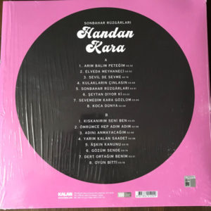 HANDAN KARA - SONBAHAR RÜZGARLARI - Görsel 2