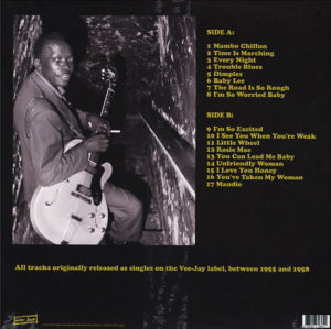 JOHN LEE HOOKER - MAMBO CHILLUN: VEEJAY SINGLES 1955-1958 - Görsel 2