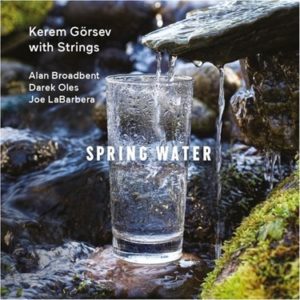KEREM GÖRSEV - SPRING WATER - Görsel 1