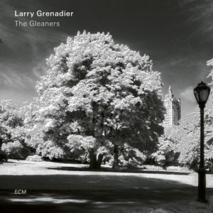 LARRY GRENADIER - THE GLEANERS - Görsel 1