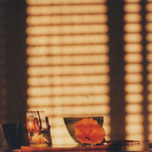 MIKE COOPER - LIGHT ON A WALL