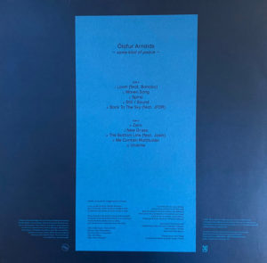 OLAFUR ARNALDS - SOME KIND OF PEACE - Görsel 2