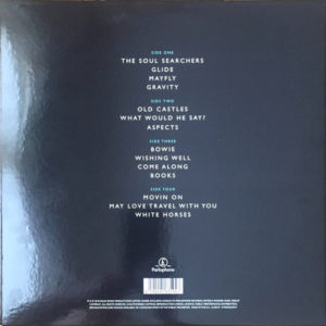 PAUL WELLER - TRUE MEANINGS - Görsel 2