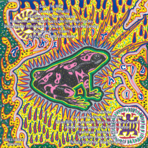 ÇEŞİTLİ SANATÇILAR - ASTRAL DAZE.PSYCHEDELIC SOUTH AFRICAN ROCK 1968-72 - Görsel 2