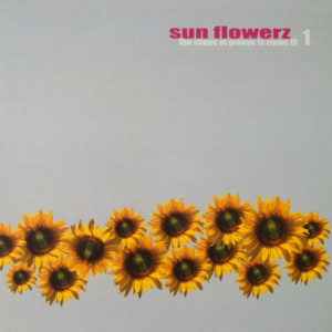 ÇEŞİTLİ SANATÇILAR - SUN FLOWERZ 1.THE SHAPE OF GROOVE TO COME!!! - Görsel 1