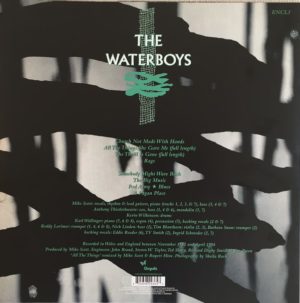 WATERBOYS - A PAGAN PLACE - Görsel 2