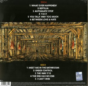 THE STROKES - ROOM ON FIRE - Görsel 2