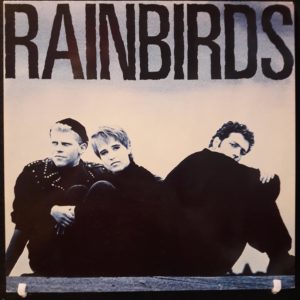 RAINBIRDS - RAINBIRDS