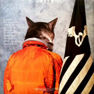 KLAXONS - SURFING THE VOID - Görsel 2