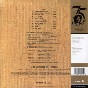 BOB MARLEY & THE WAILERS - RASTAMAN VIBRATION - Görsel 2