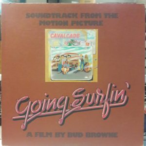 ÇEŞİTLİ SANATÇILAR - GOING SURFIN'