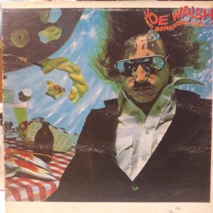 JOE WALSH - BUT SERIOUSLY FOLKS