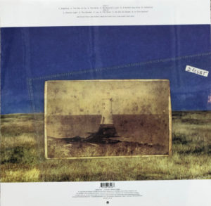 PJ HARVEY - IS THIS DESIRE? - Görsel 2