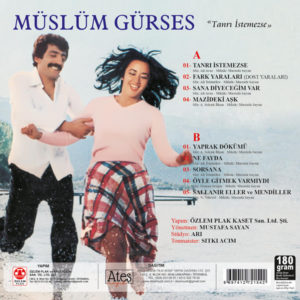 MÜSLÜM GÜRSES - TANRI İSTEMEZSE - Görsel 2