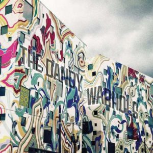 DANDY WARHOLS - WHY YOU SO CRAZY - Görsel 1