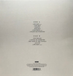 LUDOVICO EINAUDI - SEVEN DAYS WALKING - DAY ONE - Görsel 2