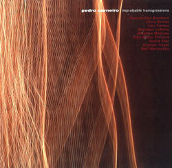 PEDRO CARNEIRO - IMPROBABLE TRANSGRESSIONS (2CD)