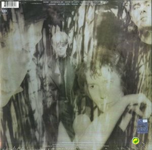 PSYCHEDELIC FURS - BOOK OF DAYS - Görsel 2