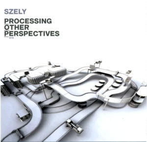 SZELY - PROCESSING OTHER PERSPECTIVES