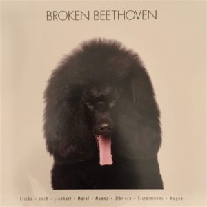 ÇEŞİTLİ SANATÇILAR - BROKEN BEETHOVEN