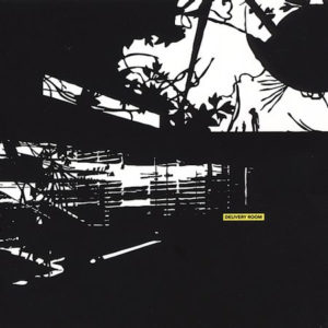 ÇEŞİTLİ SANATÇILAR - DELIVERY ROOM