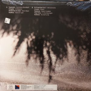 ÇEŞİTLİ SANATÇILAR - DARK PULSE (GLOW IN THE DARK) - Görsel 2