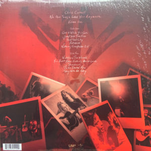 CHRIS CORNELL - NO ONE SINGS LIKE YOU ANYMORE - Görsel 2