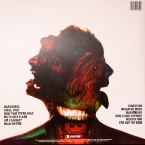 METALLICA - HARDWIRED... TO SELF-DESTRUCT - Görsel 2