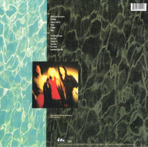 NIRVANA - NEVERMIND - Görsel 2
