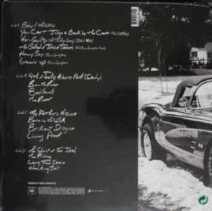 BRUCE SPRINGSTEEN - CHAPTER AND VERSE - Görsel 2