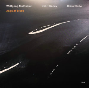 WOLFGANG MUTHSPIEL - SCOTT COLLEY - BRIAN BLADE - ANGULAR BLUES