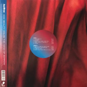 ANE BRUN - HOW BEAUTY HOLDS THE HAND OF SORROW - Görsel 2