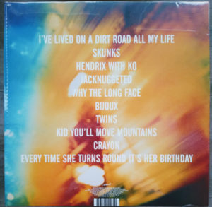 CARIBOU - UP IN FLAMES - Görsel 2