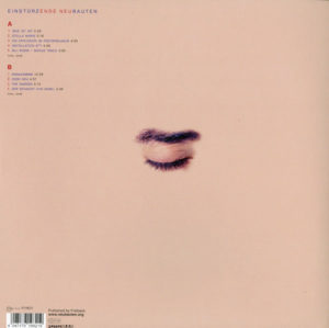 EINSTURZENDE NEUBAUTEN - ENDE NEU - Görsel 2