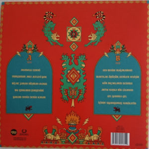 GAYE SU AKYOL - ANADOLU EJDERİ - Görsel 2