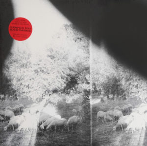 GODSPEED YOU! BLACK EMPEROR - ASUNDER SWEET AND OTHER DISTRESS - Görsel 1