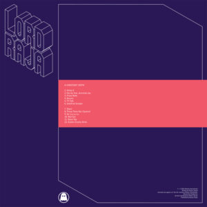 LORD RAJA - A CONSTANT MOTH (RENKLİ PLAK) - Görsel 2