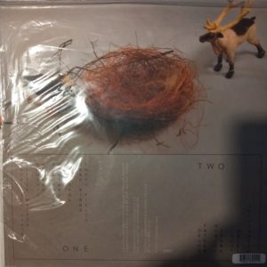 PAN AMERICAN - A SON - Görsel 2