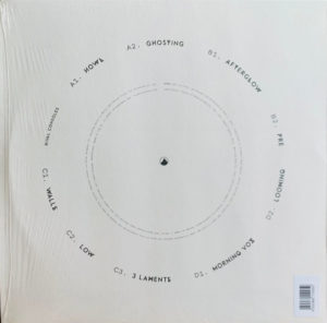 RIVAL CONSOLES - HOWL - Görsel 2