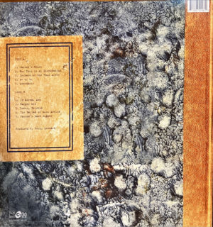 SUZANNE VEGA - SONGS FROM AN EVENING WITH CARSON MCCULLERS - Görsel 2