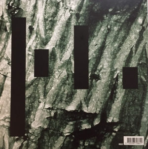 YANN TIERSEN - THE WALTZ OF THE MONSTERS - Görsel 2