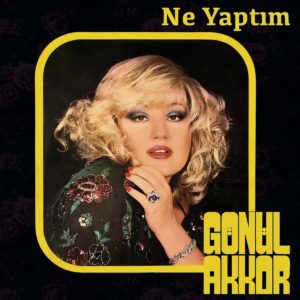 GÖNÜL AKKOR - NE YAPTIM