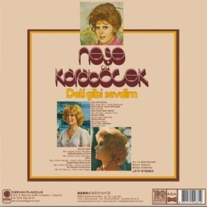 NEŞE KARABÖCEK - DELİ GİBİ SEVDİM - Görsel 2